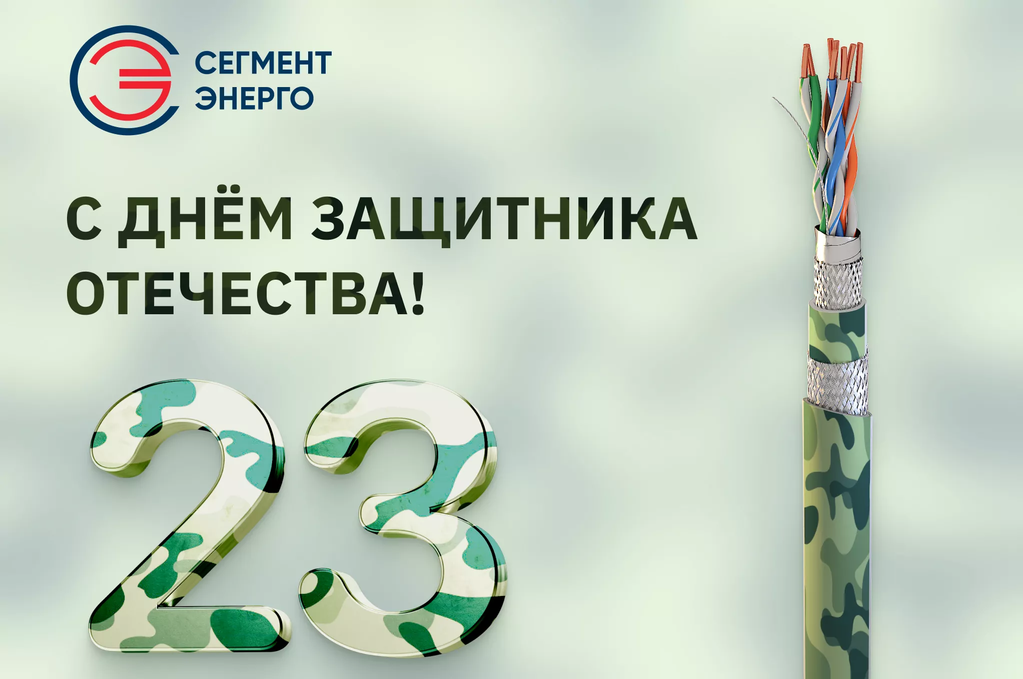 Коллектив СегментЭНЕРГО поздравляет с Днём защитника Отечества!