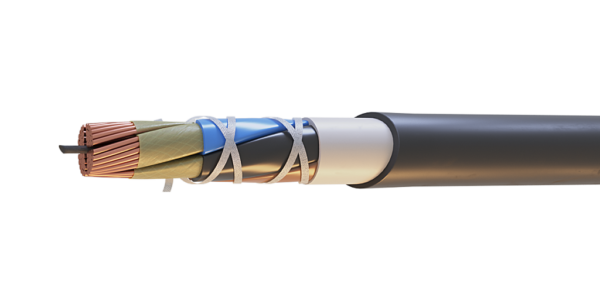 Сегмент-CEPR-1-нг(А)-FRHF
